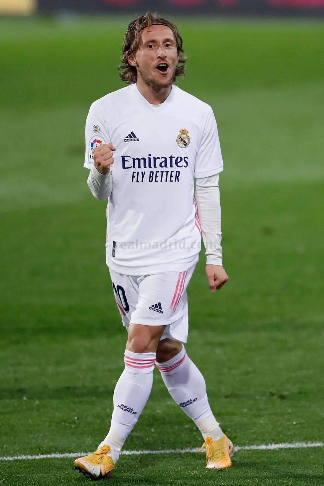 仅牵动着皇 仅牵动着皇